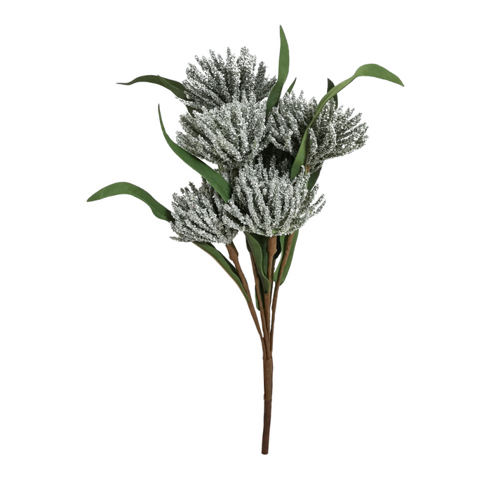 Ronis Bristle Blossom 42cm Green