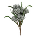 Ronis Bristle Blossom 42cm Green