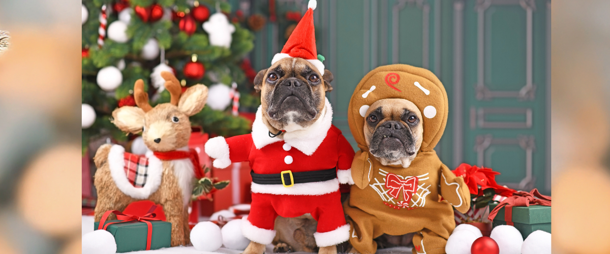 Christmas Costumes for Pets