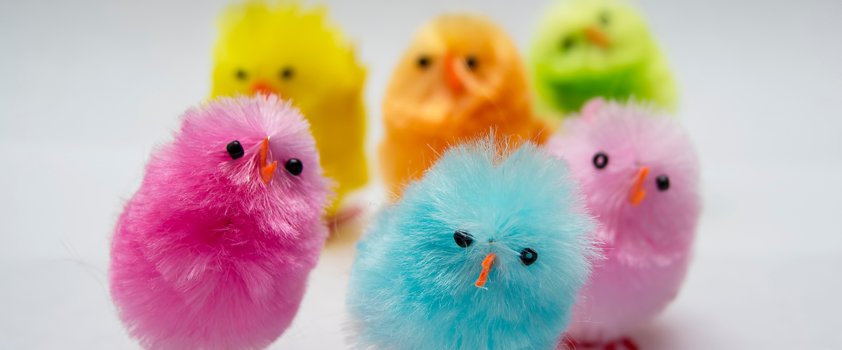 Easter chicks collection featuring fluffy pom pom chicks and chick-themed decorations for Easter crafts, hat parades, baskets and table styling.