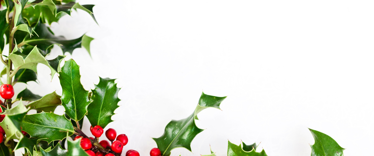 Christmas leaf decor collection with festive greenery for holiday home decorating