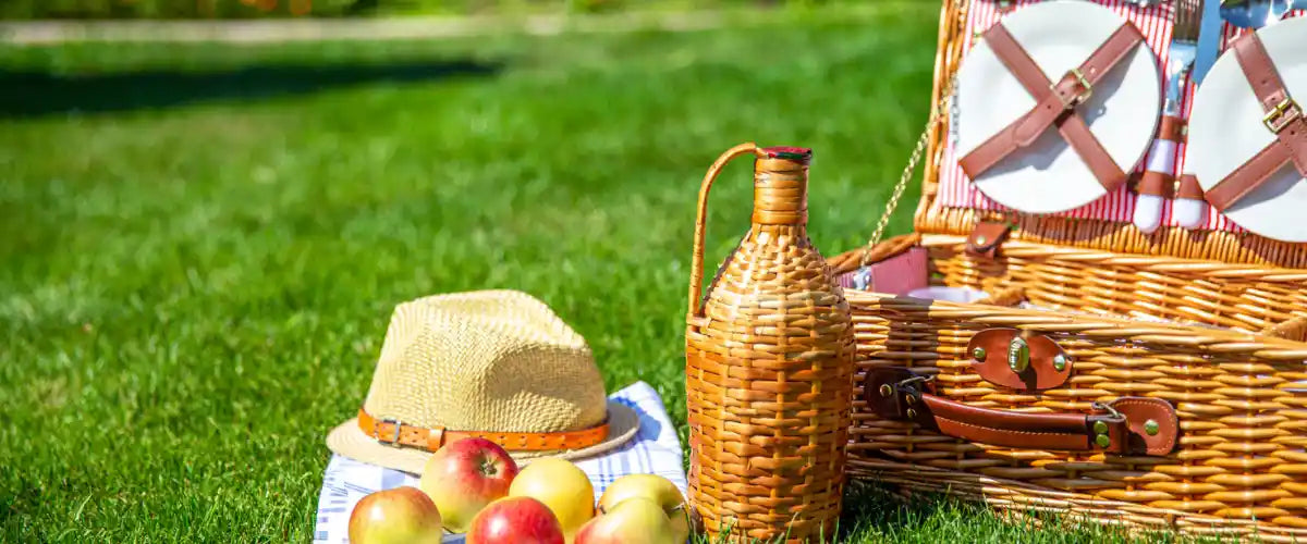 Outdoor collection featuring garden, entertaining and lifestyle essentials for patios, backyards and outdoor living spaces.