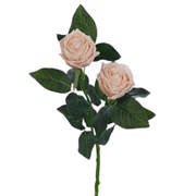 Rose Ariel Spray Soft Pink 38cml – thumbnail