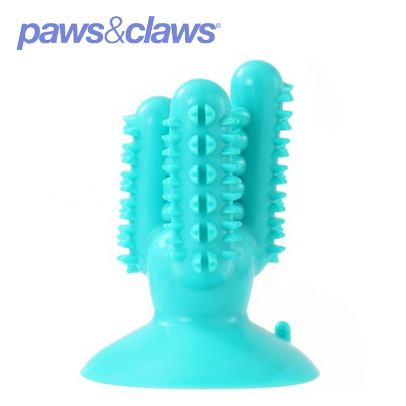 Cactus Suction Dental Treat TPR Toy 13x6x6cm