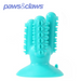 Cactus Suction Dental Treat TPR Toy 13x6x6cm