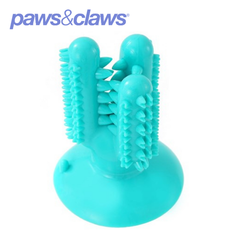 Cactus Suction Dental Treat TPR Toy 13x6x6cm
