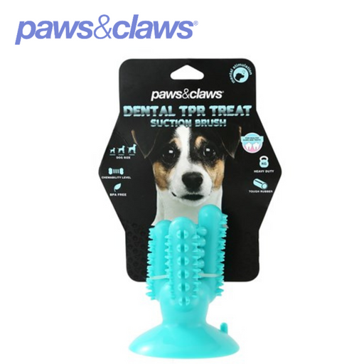 Cactus Suction Dental Treat TPR Toy 13x6x6cm