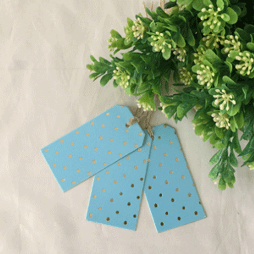 Dotty Gift Tags In Gold Foiled Blue12pk