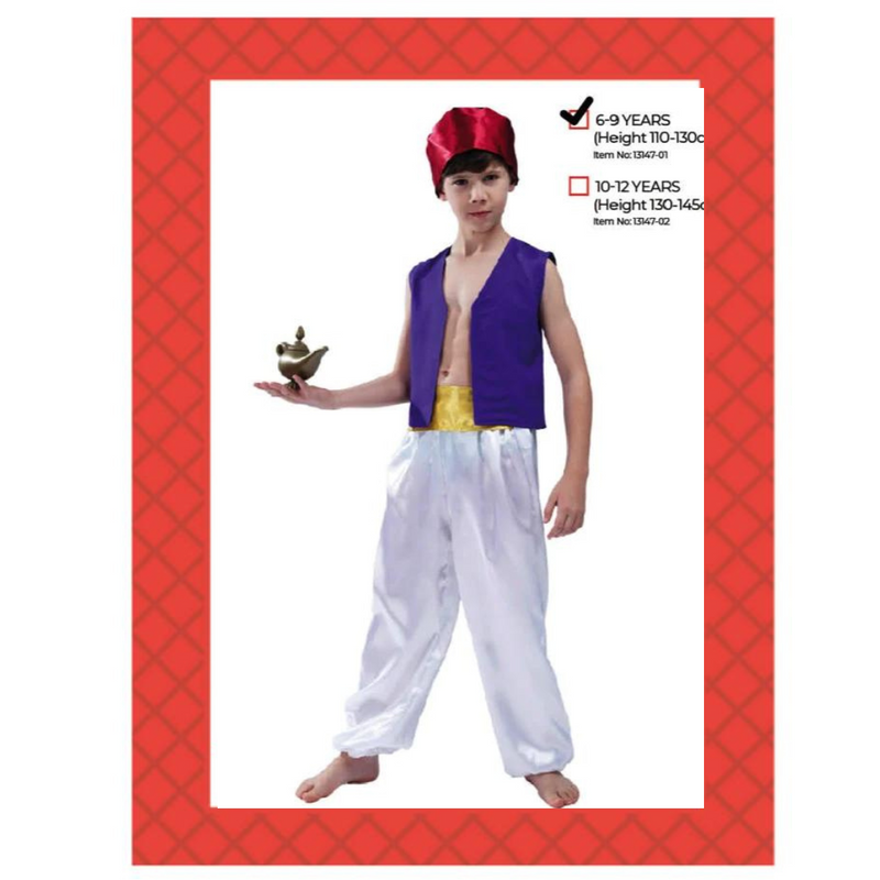 Children Prince of Thieves Costume 6-9 years