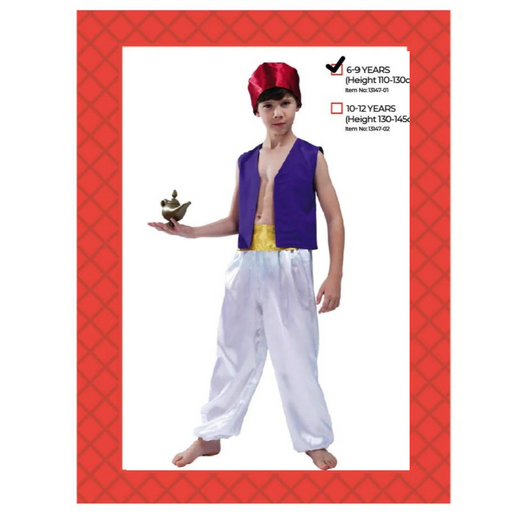 Children Prince of Thieves Costume 6-9 years