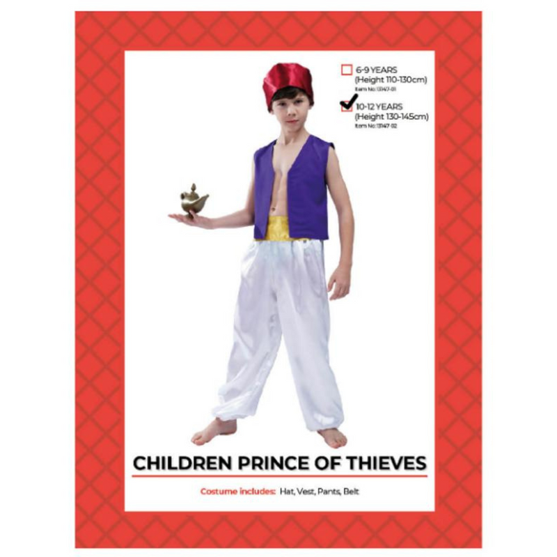 Children Prince of Thieves Costume 10-12 years