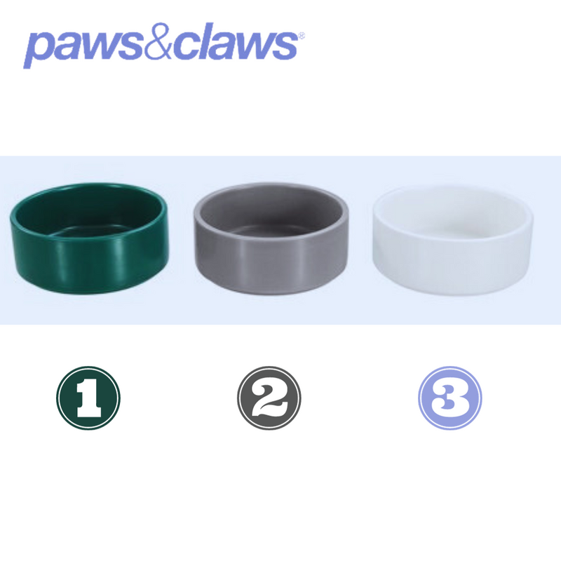 Ceramic Pet Bowl 950ml 16cm