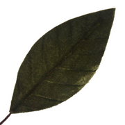 Artificial 3 red magnolia stem with green leaves 73cm Christmas floral decoration