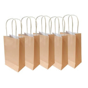 Party Bag Paper 215x130x80mm Pastel Peach Pack 5 image 3 – thumbnail