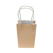Party Bag Paper 215x130x80mm Pastel Peach Pack 5 image 4 – thumbnail