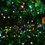 Ronis 520 LED Fairy Light Chain Dark Green Cable Connectable Multicolour