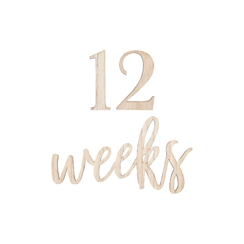 Baby in Bloom Milestone Signs Ginger Ray