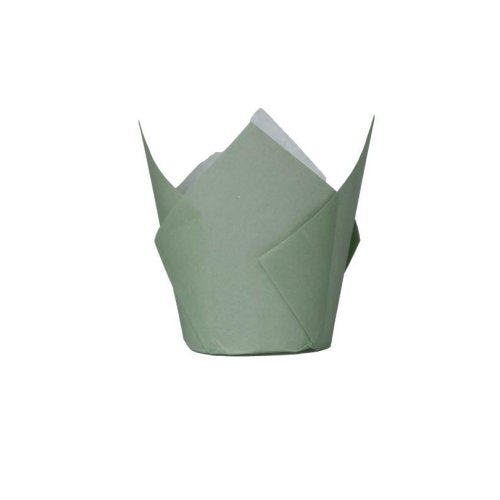 Eucalyptus tulip cupcake cases 20 pack Five Star