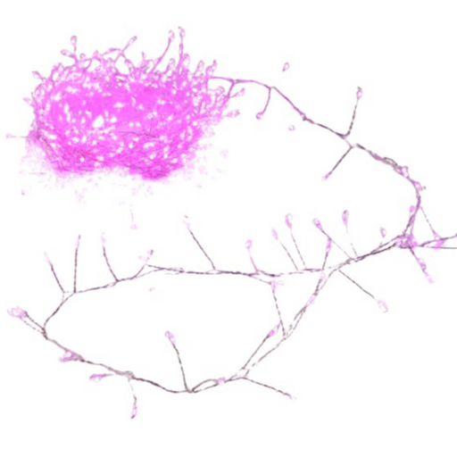 640 Micro LED Cluster Lights in pink and silver for elegant Christmas and festive décor