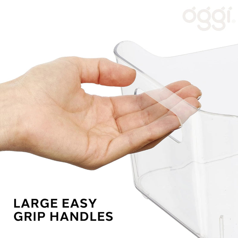 Oggi Storage Bin(24x15.5x10cm) w/Handles OGGI