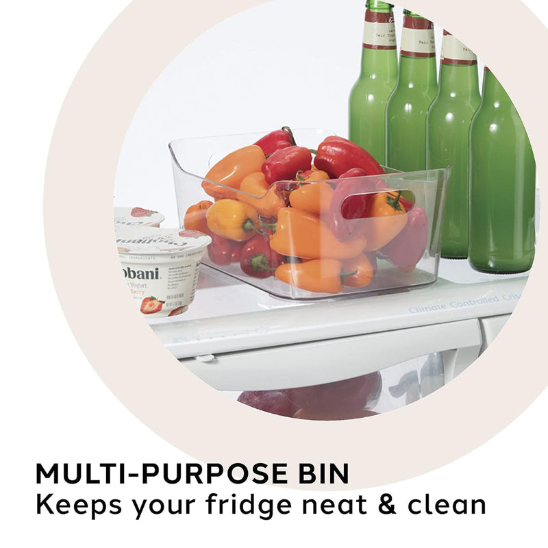 Oggi Storage Bin(24x15.5x10cm) w/Handles OGGI