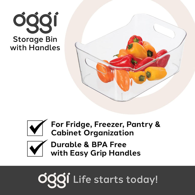 Oggi Storage Bin(24x15.5x10cm) w/Handles OGGI