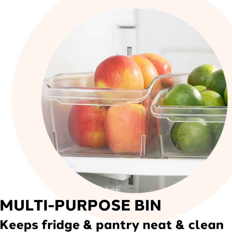 Oggi Storage Bin (36x14.5x11cm) w/Handle OGGI