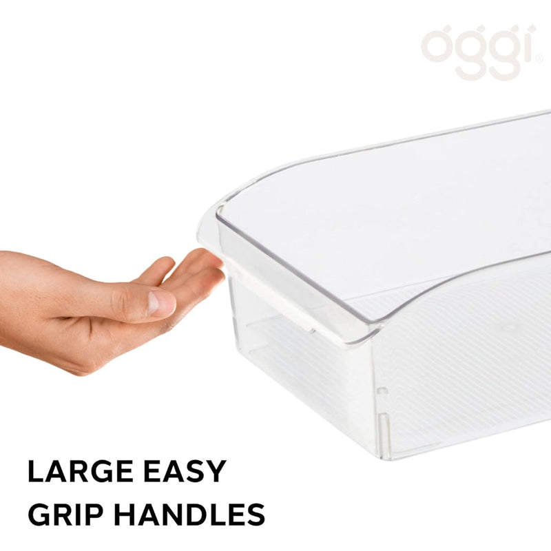Oggi Storage Bin (36x14.5x11cm) w/Handle OGGI