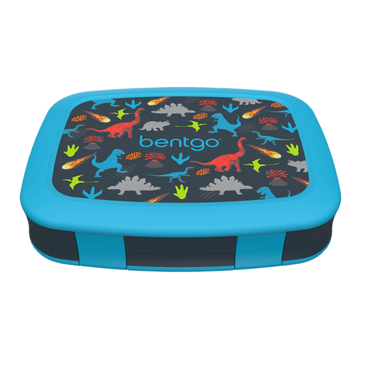 Dinosaur print bento lunch box for kids