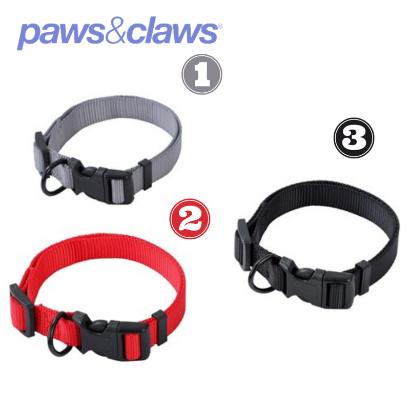 Dog Collar Essentials Medium 35-50cmx2.5cm