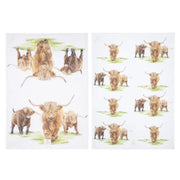 Two printed kitchen towels with Highland cattle art