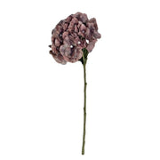 Hydrangea Dusty Mauve 52cml – thumbnail