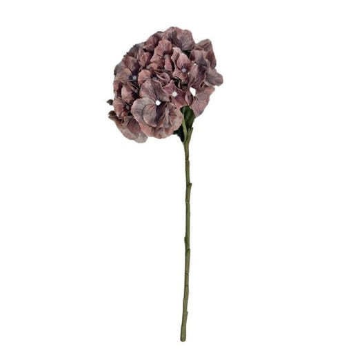 Hydrangea Dusty Mauve 52cml