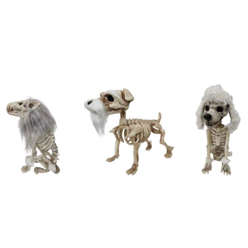 Skeleton Dog 3 Asstd