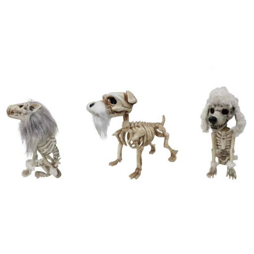Skeleton Dog 3 Asstd
