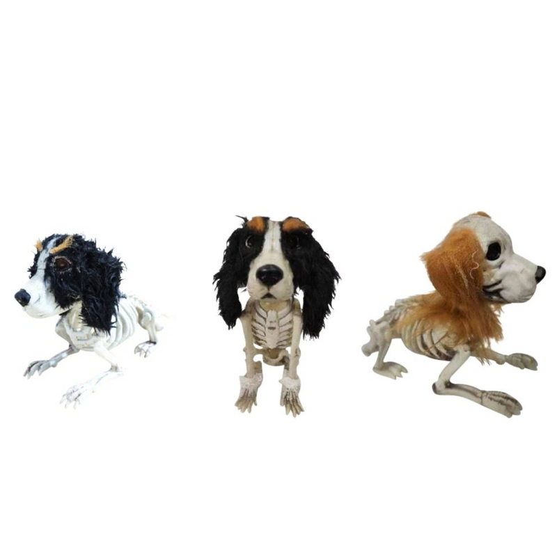 Skeleton Dog With Hair
