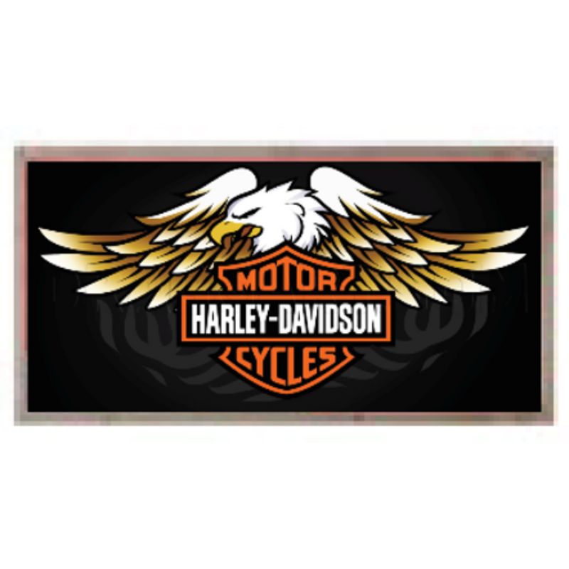 Man Shed Wood Signs Assorted
