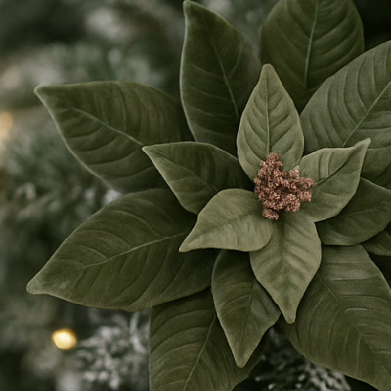 Close-up of a green leafy plant with a blurred background