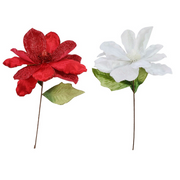 Jumbo Magnolia Red/White 50Cm Asst