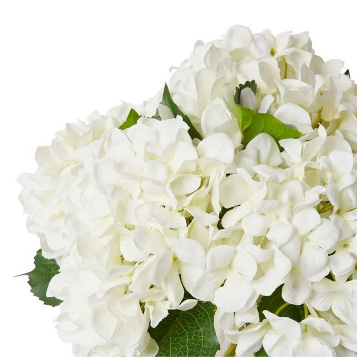 Hydrangea White-Alma Vase White 35x35x37cm