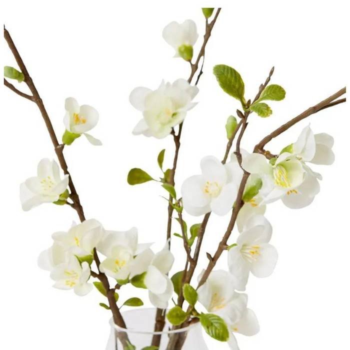 Cherry Blossom - Harvan Vase White 12x14x44cm