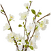 Cherry Blossom - Harvan Vase White 12x14x44cm