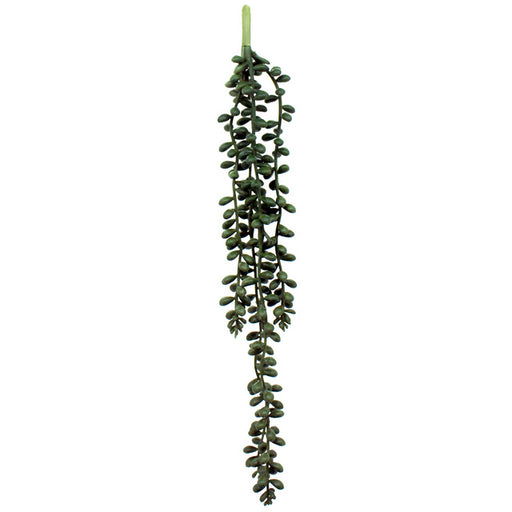 Hanging Pearl Succulent 35.5cm