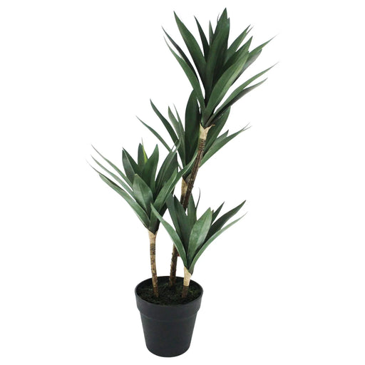 Yucca Quad Pot 66cm