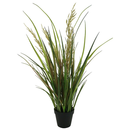 Potted Wheat with Grass 53cm