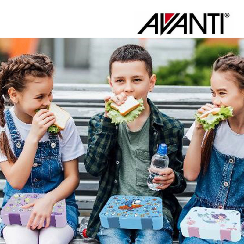 AVANTI YumYum Bento Box Surfing Sharkie – kids bento lunch box with compartments and surfing shark design