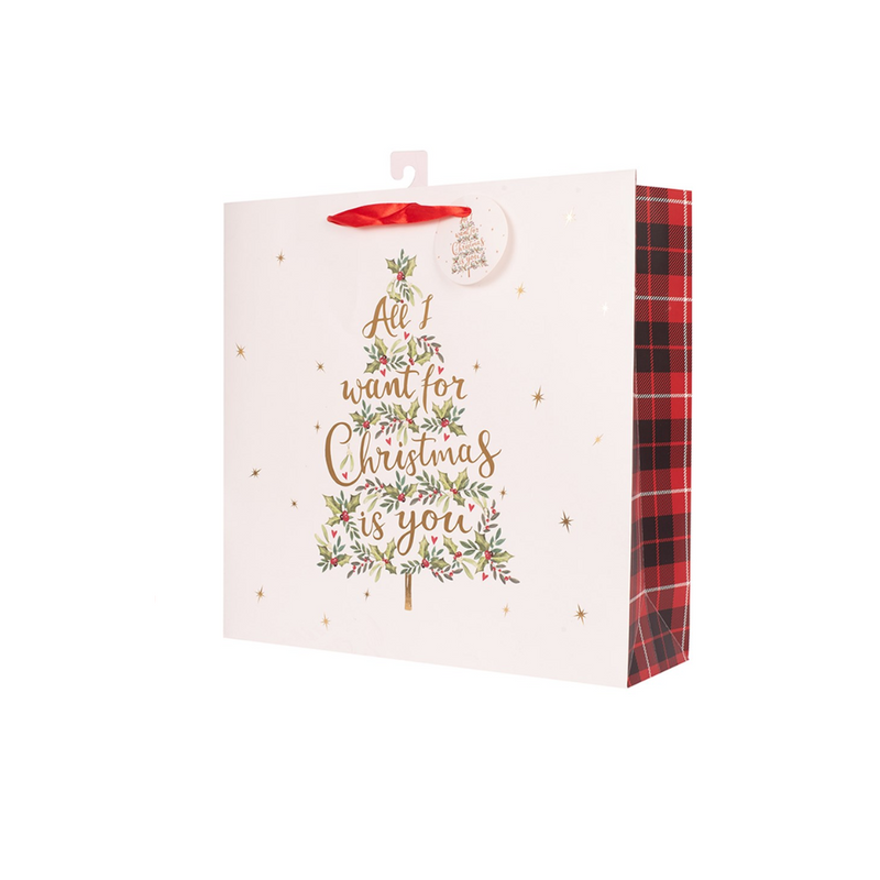 Small red Christmas gift bag with 'All I Want For Christmas Is You' text and festive design – 11.1x13.7x6.2cm
