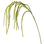 Amaranthus Spray Green 127cml – thumbnail
