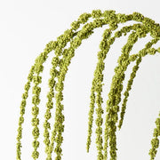 Amaranthus Spray Green 127cml – thumbnail