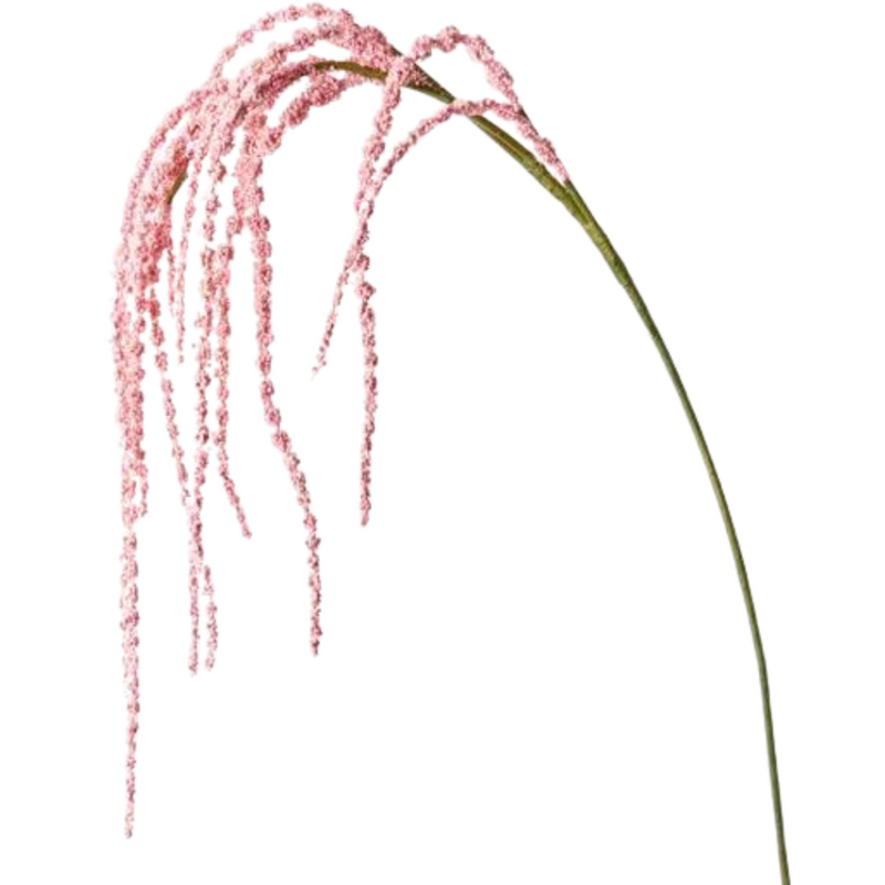 Amaranthus Spray Light Pink 127cml